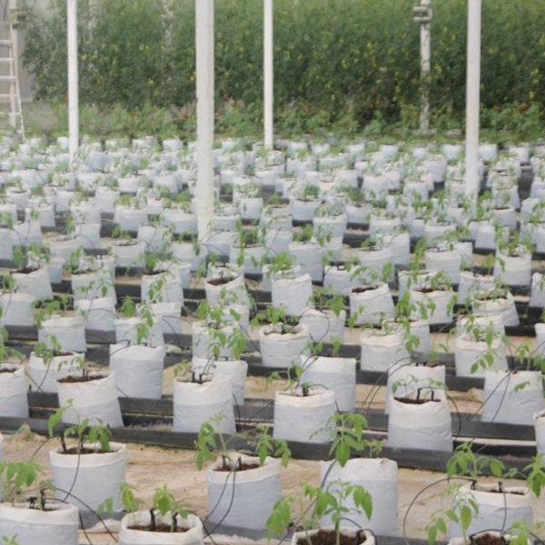 Grow Bags